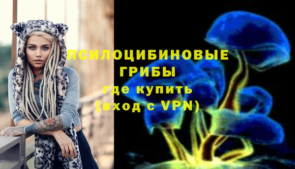 эйфоретик Алексеевка
