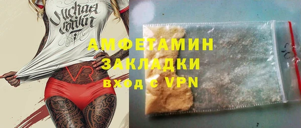 хмурый Алзамай